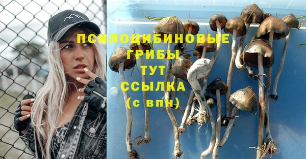 стафф Абинск