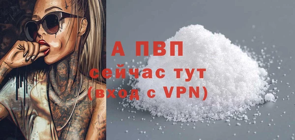 стафф Абинск