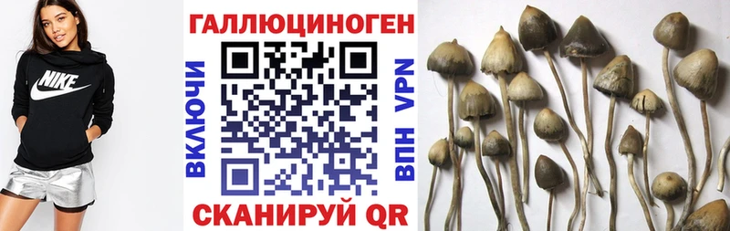 Псилоцибиновые грибы Cubensis  МЕГА ТОР  Миллерово 